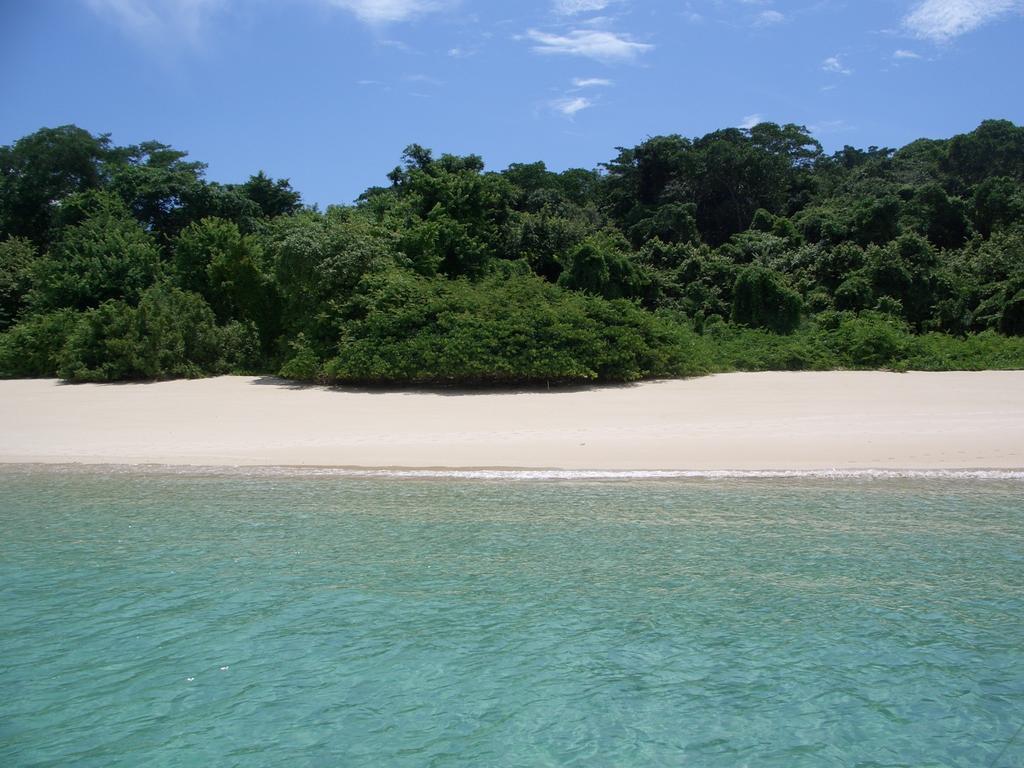 Beautiful Apartment With Terrace Contadora Island Oda fotoğraf
